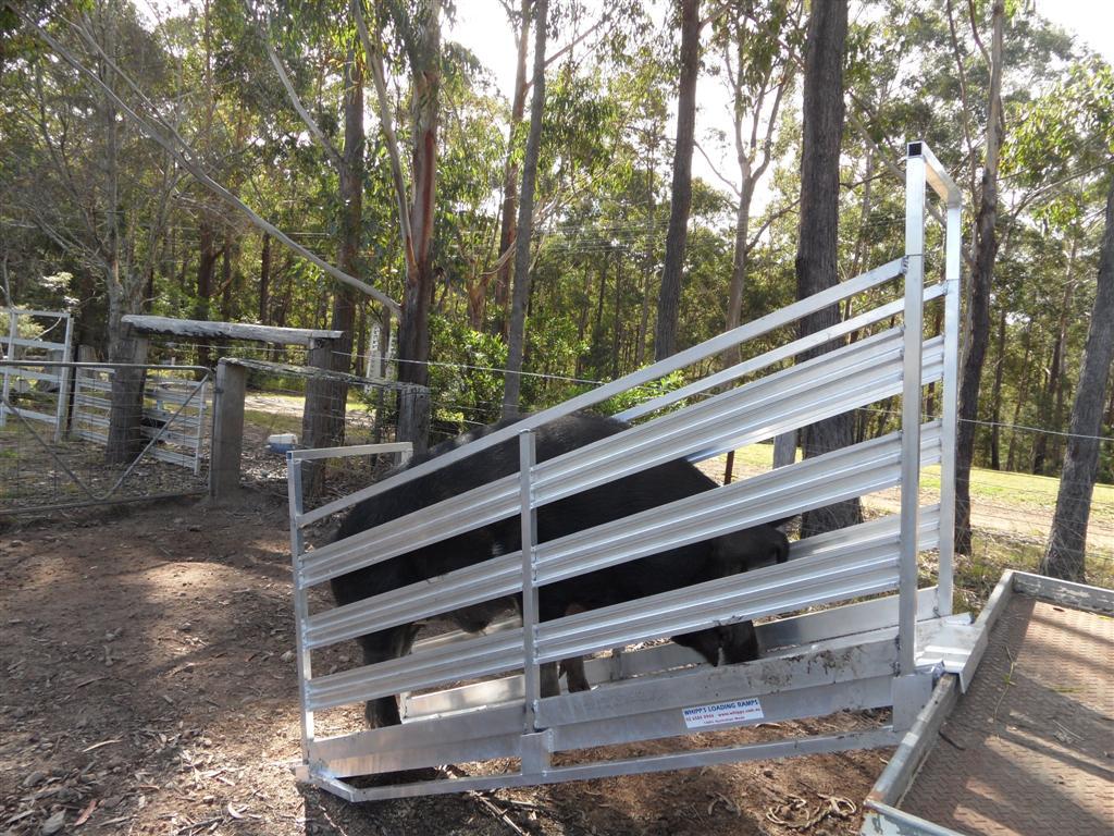Portable Aluminium Sheep & Livestock Ramps
